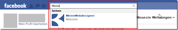 Sie suchen z.B. eine Person oder eine Seite auf Facebook?