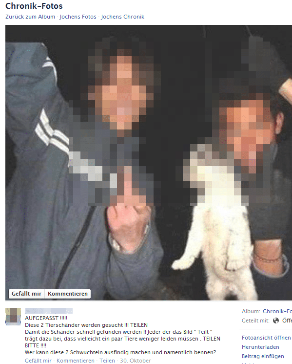 Facebook: Die zwei Jungen die einen kleinen Hund erhängen… – mimikama.org