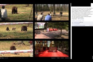 Illegale Bärenkämpfe in der Ukraine