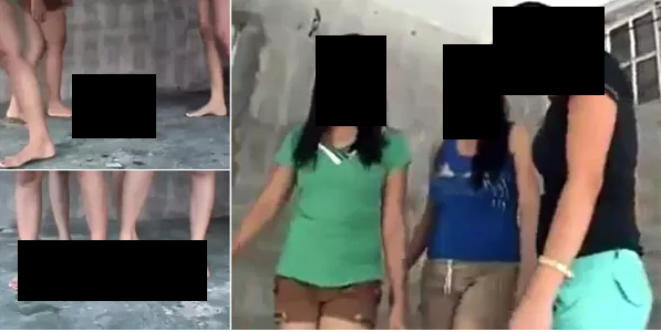 Aufklärung zu den 3 Mädchen die einen Welpen zerquetschen (Animal Crushing  Video)