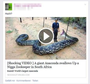 [Shocking Video] A Giant Anaconda swallows Up … (Fake)