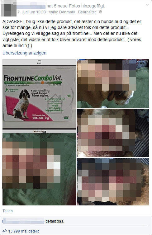 Frontline