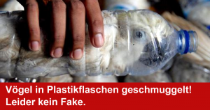 Vögel in Plastikflaschen geschmuggelt – Leider kein Fake