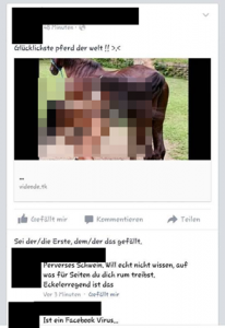 Warnung: Das „glücklichste Pferd der Welt“ auf Facebook