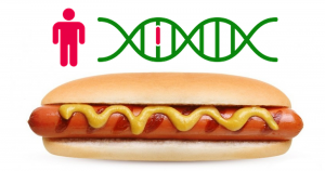 Wurde menschliche DNA in Hot Dogs gefunden?