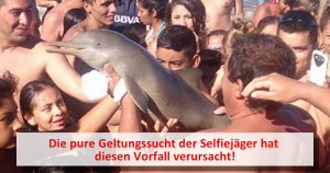 Een baby dolfijn wordt doorgegeven voor selfie!