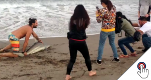 Facebook: Ein Mann zerrt einen Hai aus dem Meer (Video-Analyse)
