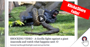 Gefälschte YouTube Seite: “SHOCKING VIDEO – A Gorilla fights against a giant Anaconda”