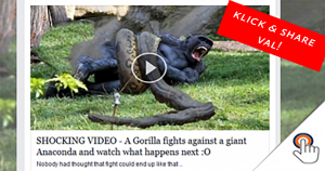 Nep YouTube-pagina: “SHOCKING VIDEO – A Gorilla fights against a giant Anaconda”