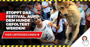 Petitie: Het festival waar honden gefolterd worden!