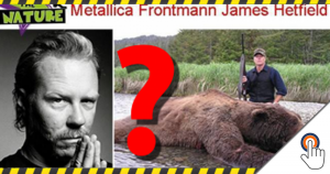 “Metallica mede oprichter James Hetfield doodt Kodiak beren.” – als men alleen de headlines leest…