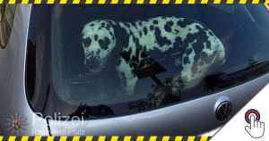 Lebensgefahr für Hunde bei Hitze in geparkten Autos