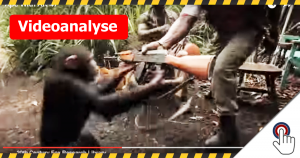 Dumme Typen geben Affe eine AK-47?