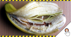 Opnieuw vals alarm: met HIV bloed besmette bananen