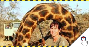 Die Frau mit der toten Giraffe – Eine gejagte Jägerin
