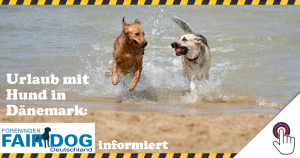 Urlaub mit Hund in Dänemark: Fair Dog informiert [ein Gastartikel]