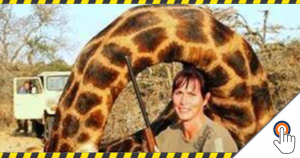 De vrouw met de dode giraffe – Een gejaagde jager