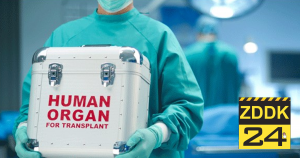 Zuviele Todesfälle: Frankfurter Uni-Klinik darf keine Herztransplantationen mehr durchführen