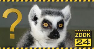 Tierdiebe stehlen 13 Lemuren-Affen aus Zoo