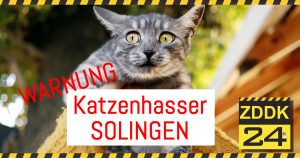 WARNUNG: Katzenhasser tötet und verstümmelt Katzen in Solingen
