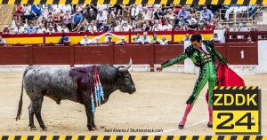 Spanisches Verfassungsgericht lässt Stierkampfverbot in Katalonien kippen