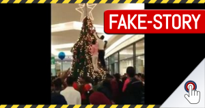 Dresden, Hamburg oder Wien: Flüchtlinge stürmen Weihnachtsbaum? FAKE!