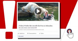 Achtung vor dem Facebook-Video mit dem Eisbären und der Frau