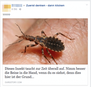 Ist das Killerinsekt ein Fake?