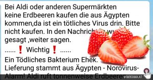 WhatsApp-Kettebrief: Kaufen Sie bei Aldi keine Erdbeeren aus Ägypten…