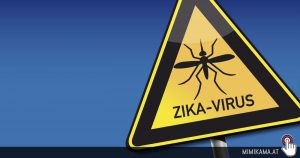 Zika-Virus und Mikrozephalie – Ist der Zusammenhang wirklich eine „Fake News“?