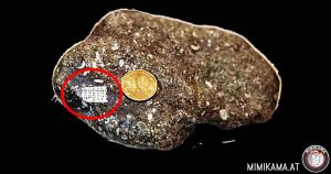 Sieht man hier einen in Stein eingeschlossenen 250 Millionen Jahre alten Mikrochip?