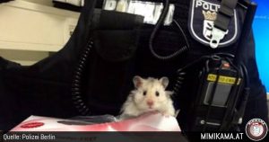 Hamster verhext Polizei in Walpurgisnacht