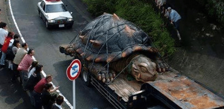 Die größte Schildkröte der Welt – mimikama.org