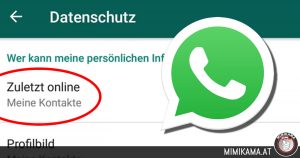 WhatsApp: So verbergt ihr Infos vor Fremden