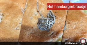Ondefinieerbaar iets in een broodje hamburger