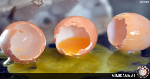 Nach Notruf wegen Schlägerei Beamte mit Eiern beworfen