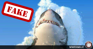 De haai en de 8 → een miljoenenfake!