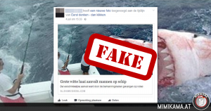 Feitencheck: Witte haai valt mannen aan