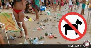 Hunde verboten! Sind Vierbeiner zu schmutzig für diesen Strand?