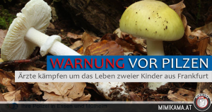 Essener Ärzte kämpfen um das Leben von zwei Kindern aus Frankfurt