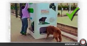 Feitencheck: Voerautomaat voor straathonden in Istanbul