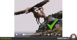 Faktencheck: Video von einem Adler, der eine ausgewachsene Gämse attackiert
