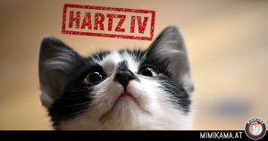 Hartz IV für Hauskatzen?