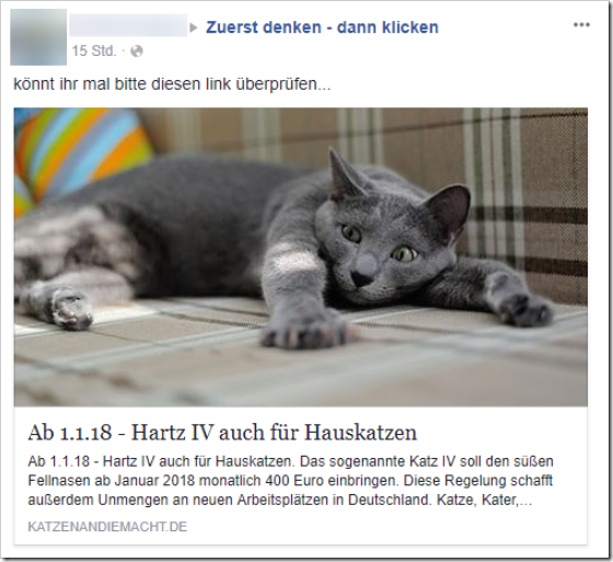 Schreenshot: Inquiry via Facebook on the topic: “Cats in power”