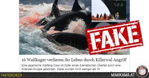 Verloren diese 16 Walfänger ihr Leben durch einen Killerwal Angriff?