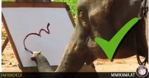 Schilderende olifanten – Echt? Fake? Dierenmishandeling?