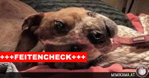 Feitencheck:De schijnbaar misvormde hond!