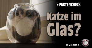 Katzen in einem Einmachglas formen?