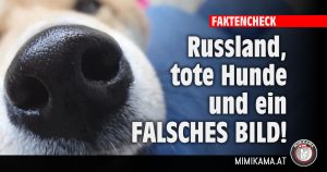 Russland, tote Hunde und ein falsches Bild