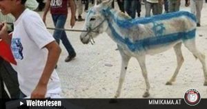 Der Esel mit der aufgemalten Israel-Flagge